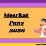 Meerkat Puns