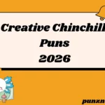 Creative Chinchilla Puns