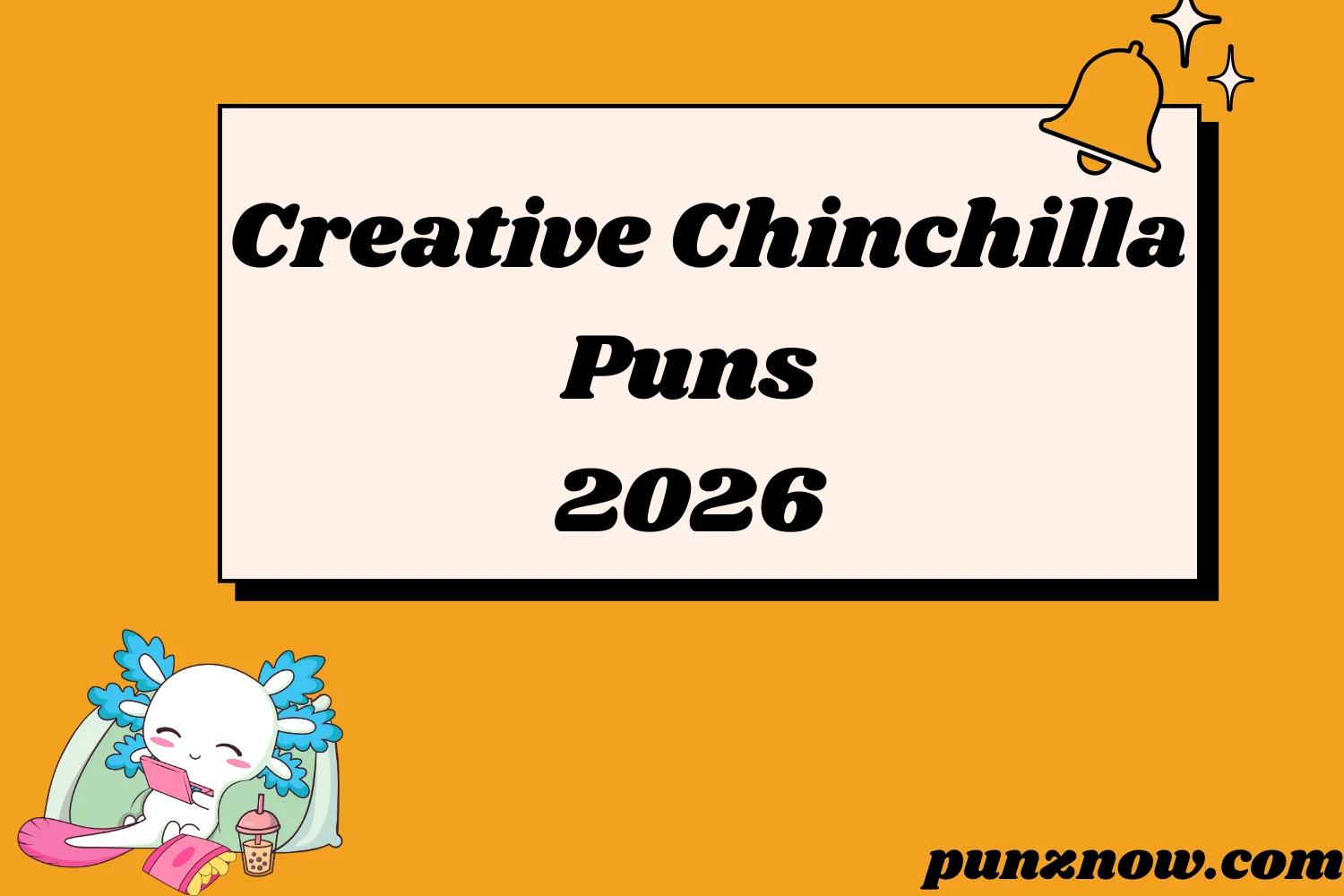 Creative Chinchilla Puns