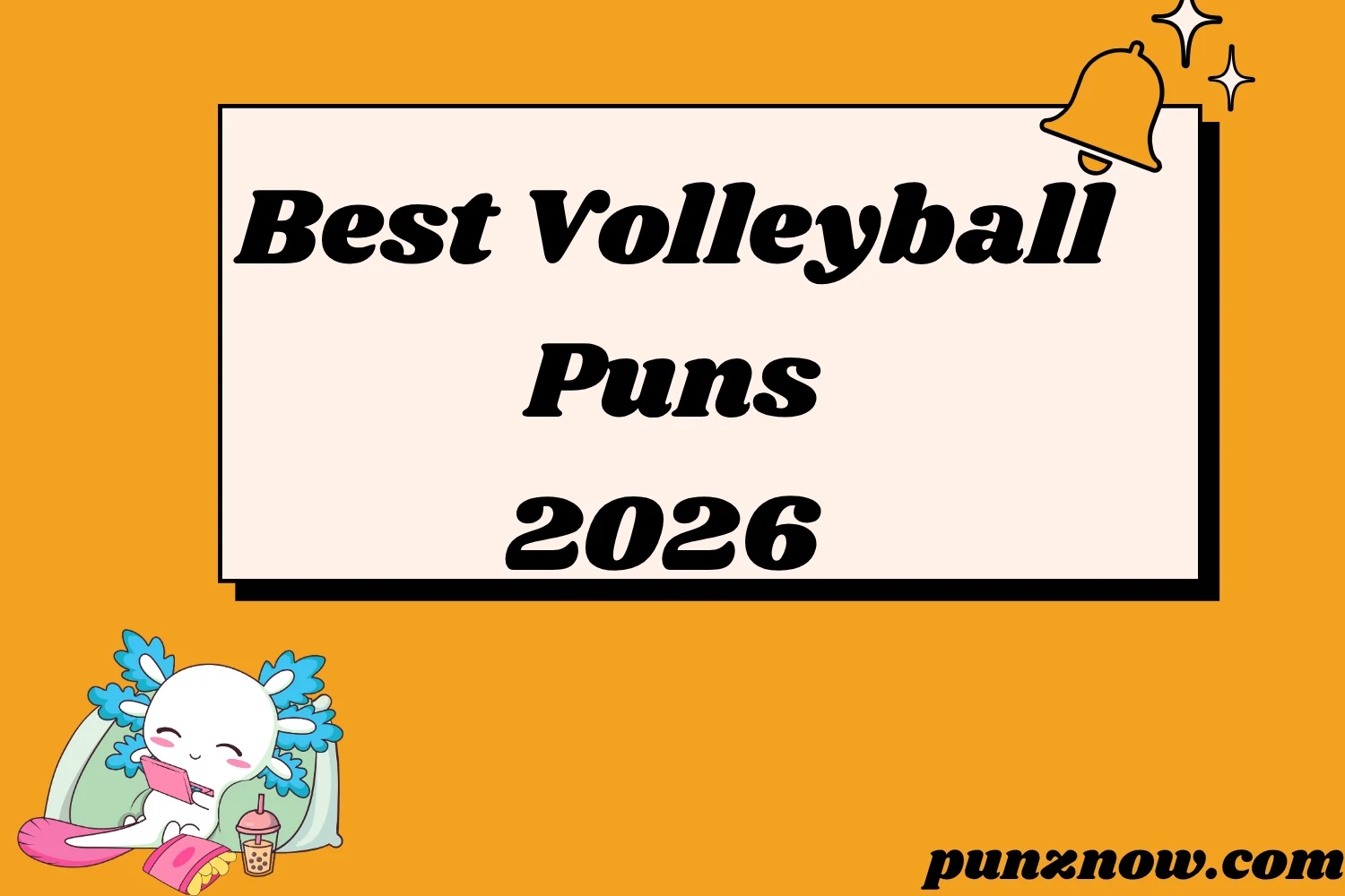 Best Volleyball Puns