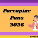 140 Porcupine Puns That Will Make You Quill Over in 2026