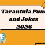 Tarantula Puns and Jokes