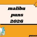 malibu puns