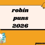 robin puns