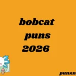 bobcat puns