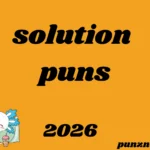 solution puns